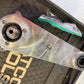 Coyote Mustang Procharger Crankdrive 4CD-COY-X
