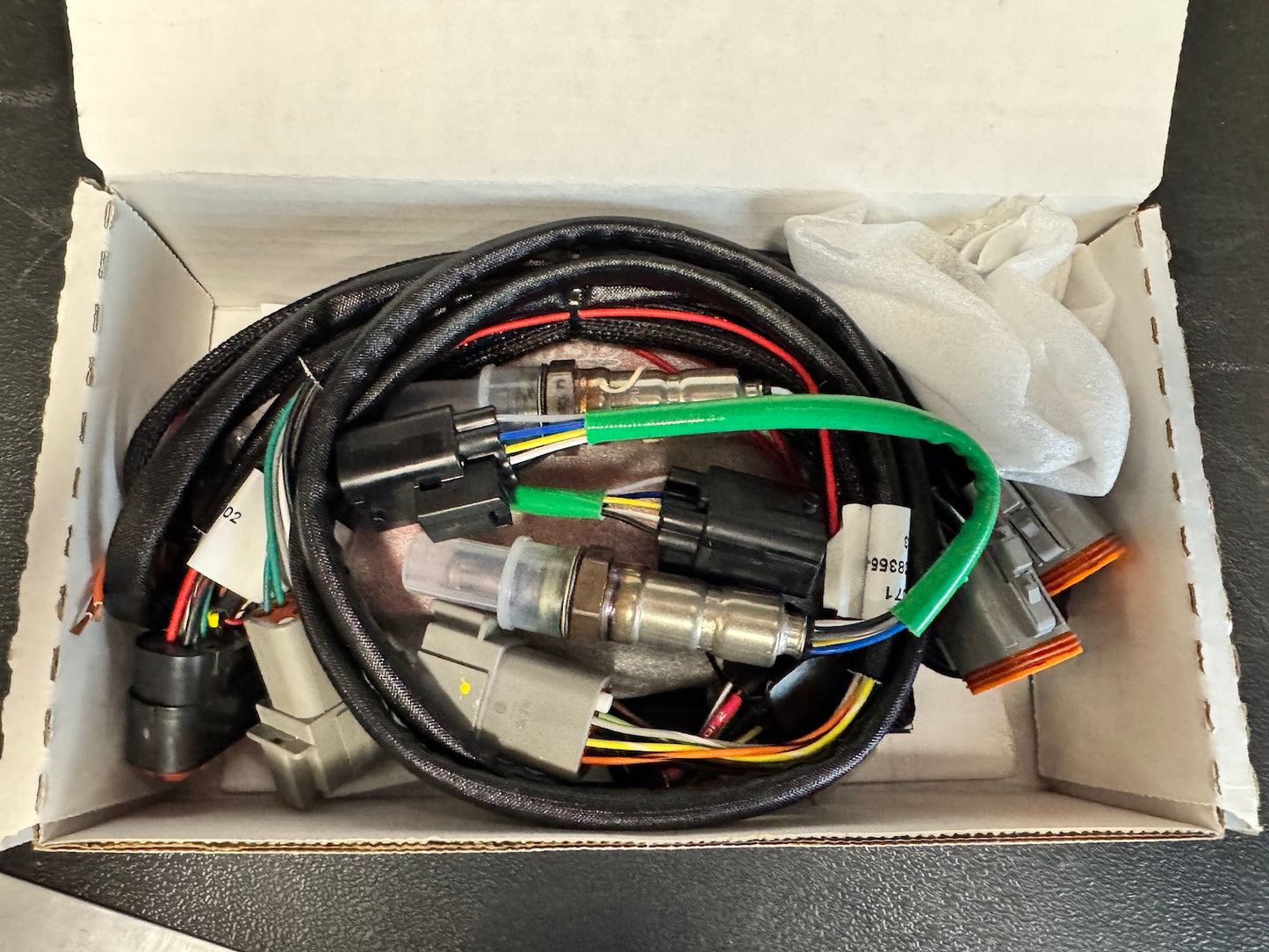 MSD Power Grid Dual NTK Wide Band O2 Module